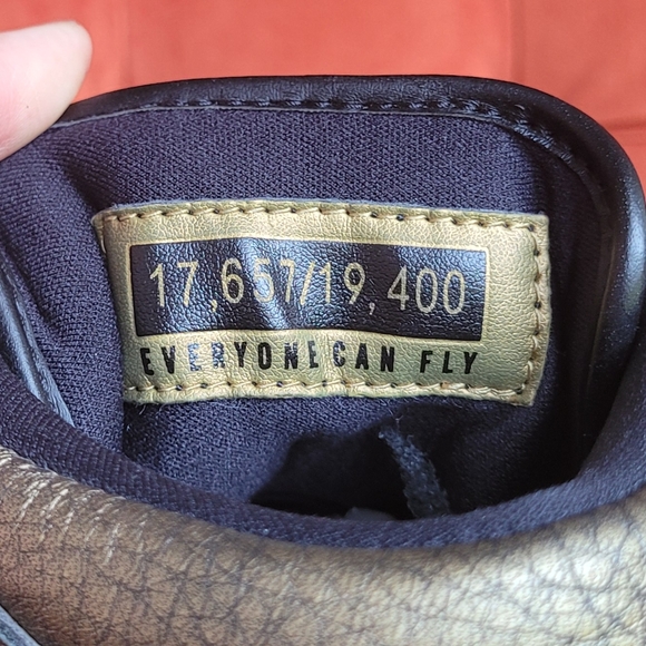 Air Jordan 1 Retro High 'Wings' AA2887-035  Sneaker Men's Size 9.5 - Picture 11 of 16